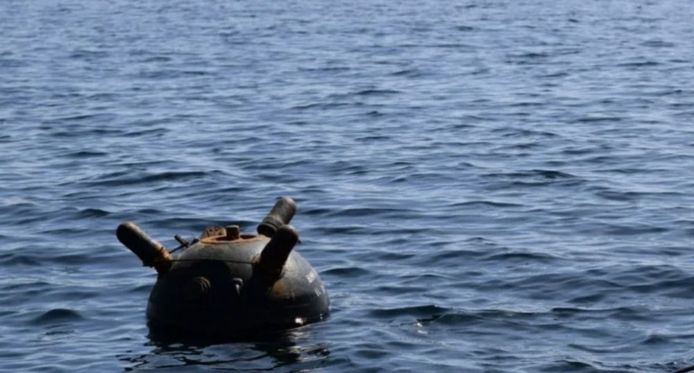 � ��������� ����������� ���� ��������� ���������� ������� ����