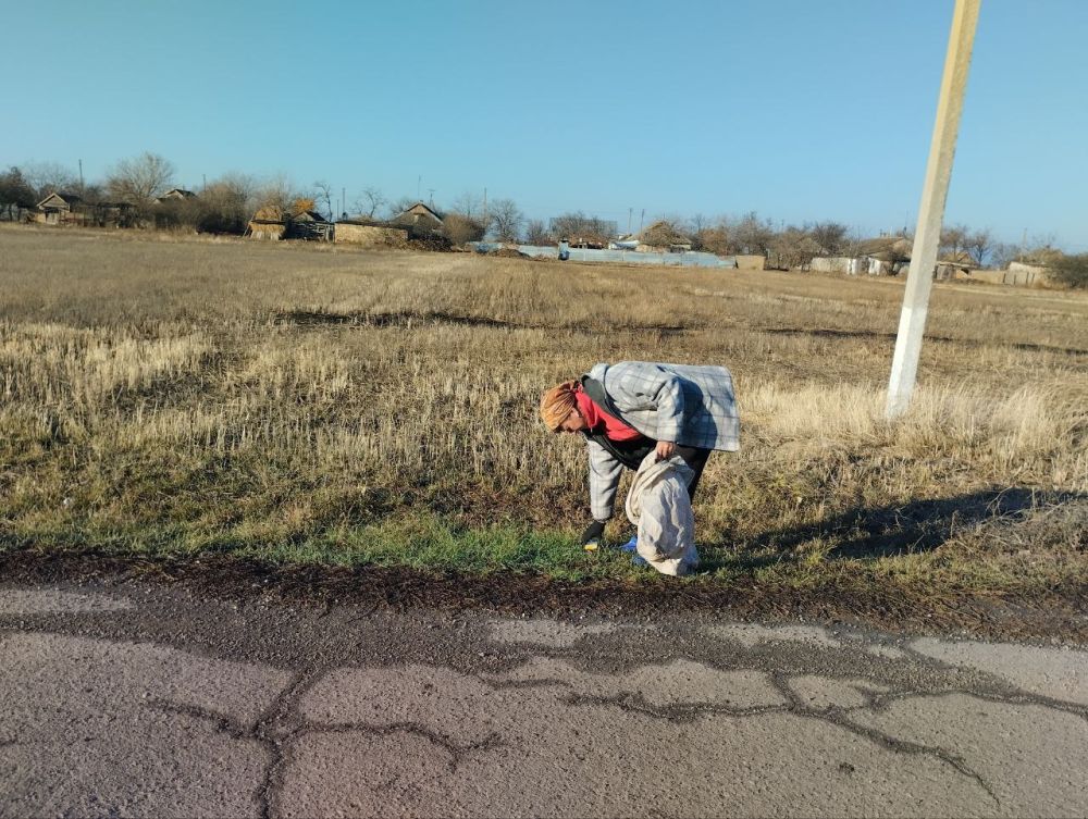 ������ �� ���������������