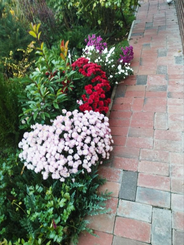 ������ ����, �������!. @VGA_Kakhovka