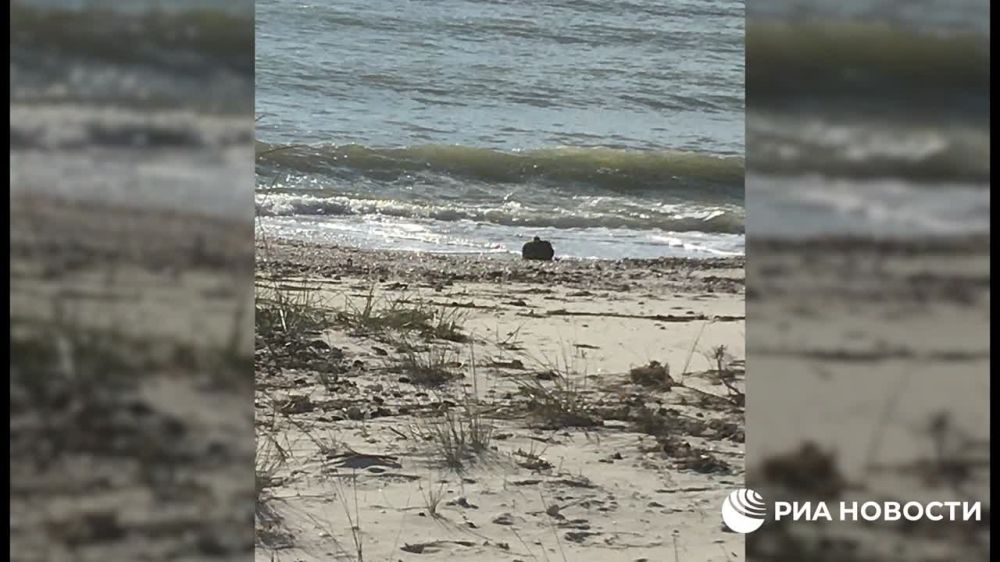 �� ��������� ����������� ���� � ���������� ������� ��������� ���������� ������� ����