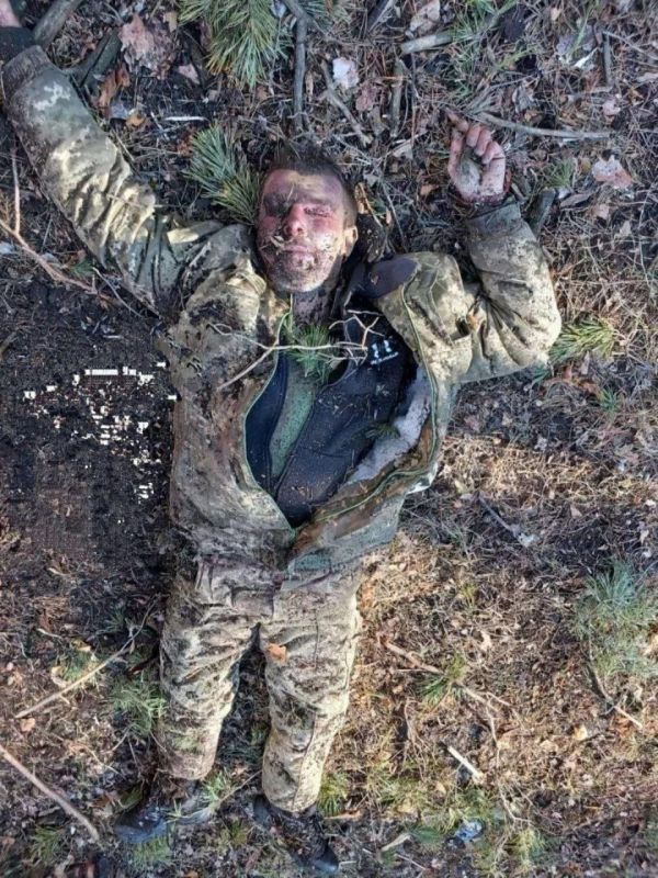 ����� ������ ��������? ��������� �������� - �� ��������!