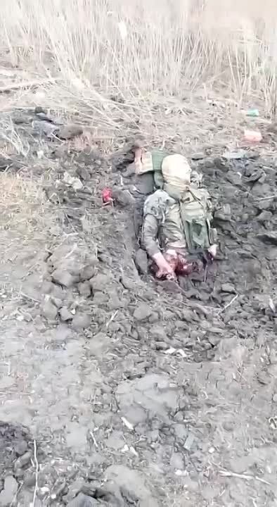 ������ ����� ������������� ����������� �������