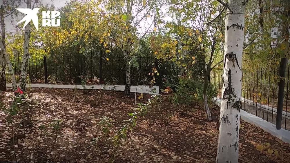 ������� ������� ��������� ���������� � ��������������