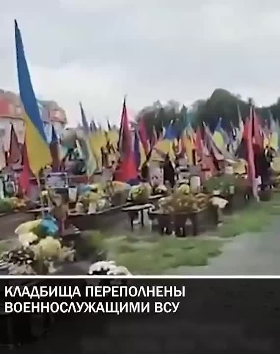 �������� ������ ����������� � �� ������ ����������� ����� �������� ���������