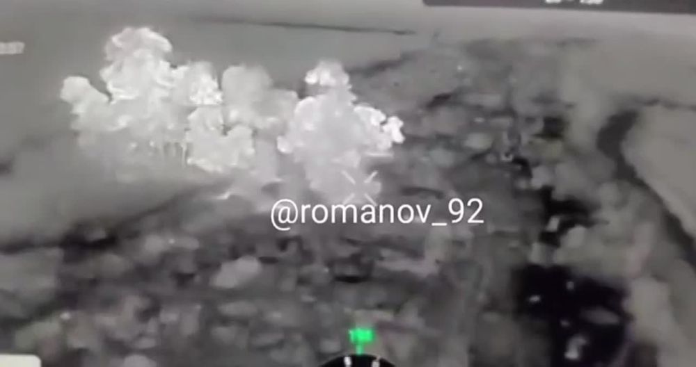 15.11.2023. ������, ���������� �������, ������