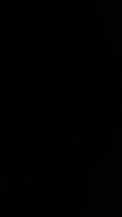 ������ ���� �������