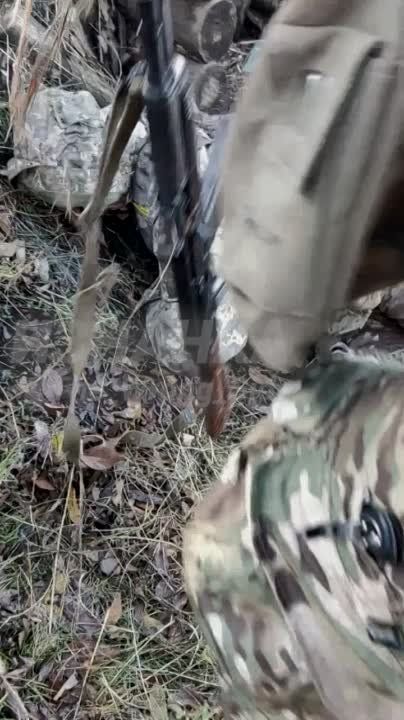 ���������� �� �������:. �� ��� �� �����. �������� ��� ������� �������, � ���� ��������! � ���������� ����� ��������� �����. ����������� �� ������� ����������� �������� ���������, �� ���� ������ � ������ � ������