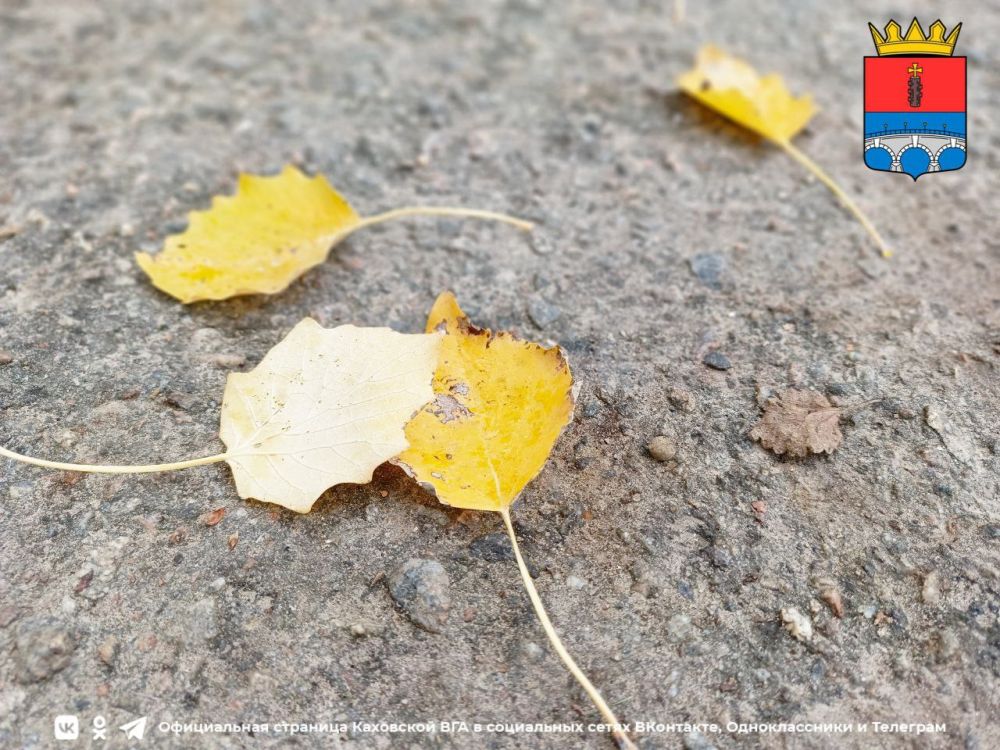 ������ ����, �������!. @VGA_Kakhovka