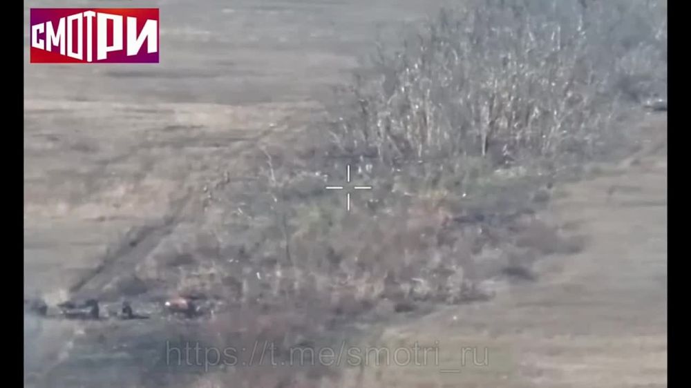 � ������ �������� ��������� ������� ��� ������������ � �������������� ����������� ������ ������ �� �����