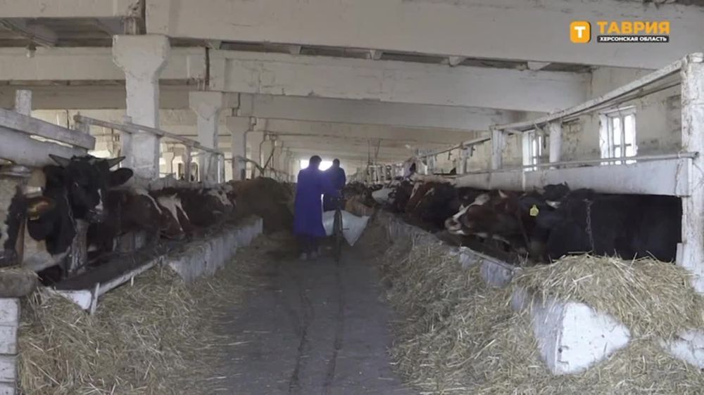 �������������� ��� "������" �������� �����������-���������� ��������� "�����" � ��������� ����������� ������