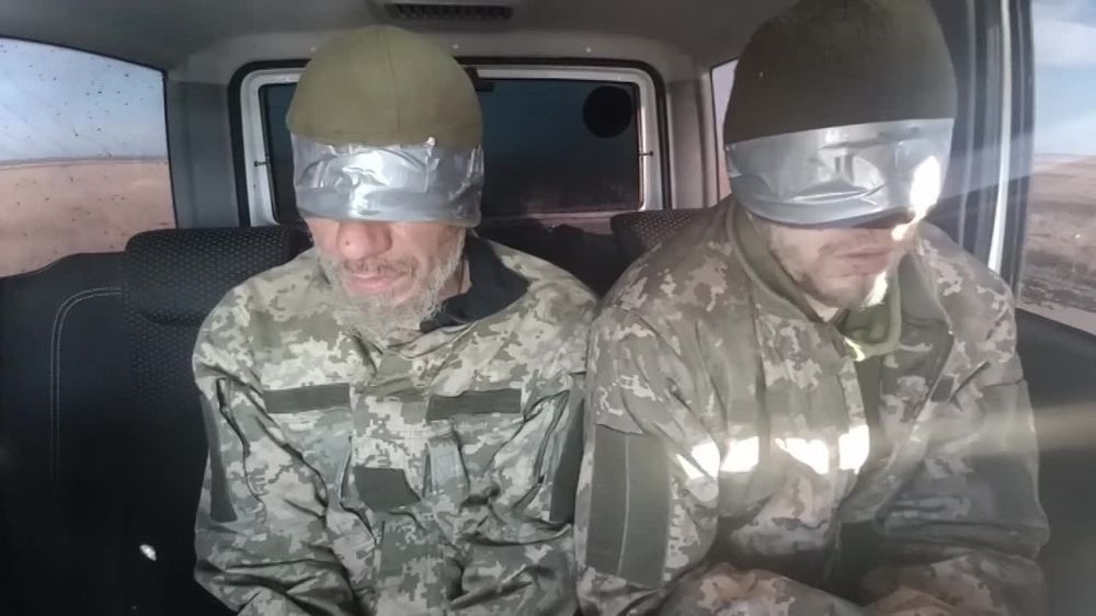 �����������. ������. ��� �����. ���� �������������� 36 ������� ������� ������ ��� ����� � ����