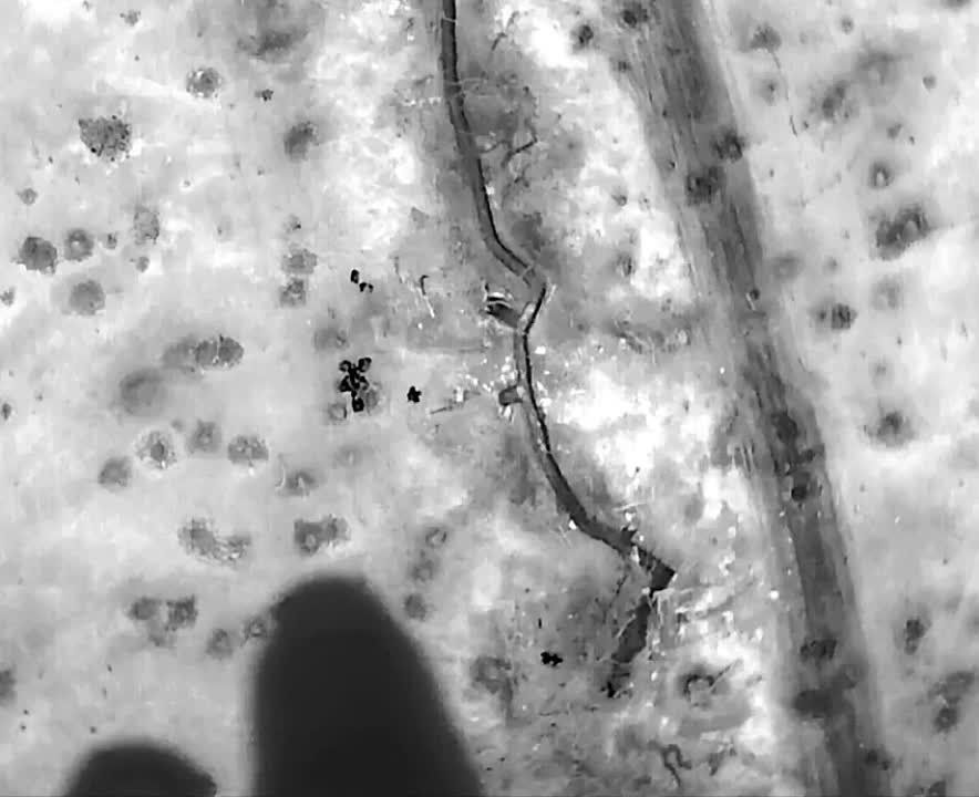 ������� ���������� ������ ������� ������ � ������������� ������������� ������������� ������ ��� �� ����� �� �����������