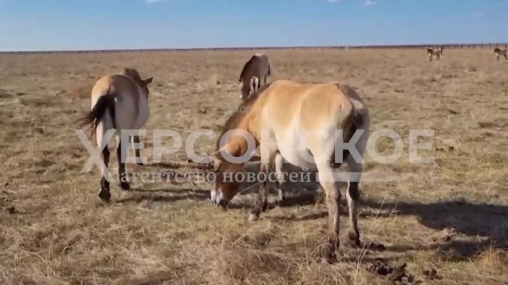 ������ ������������� � ��������� �� ������� ����� ������