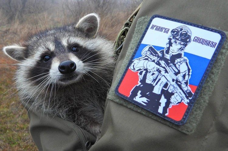 ���� �� �������, ������� ������� ��������� ��������� ����� ��������� "������" �� ���������, ���������� �� �������� "������", ����� ���������� � ����� �����, ������������� � ������������ � �������� ���� ����������