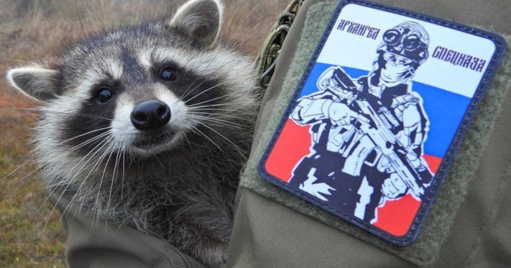 ����� �� ������� ���� �������� ������� �� �������� ��������