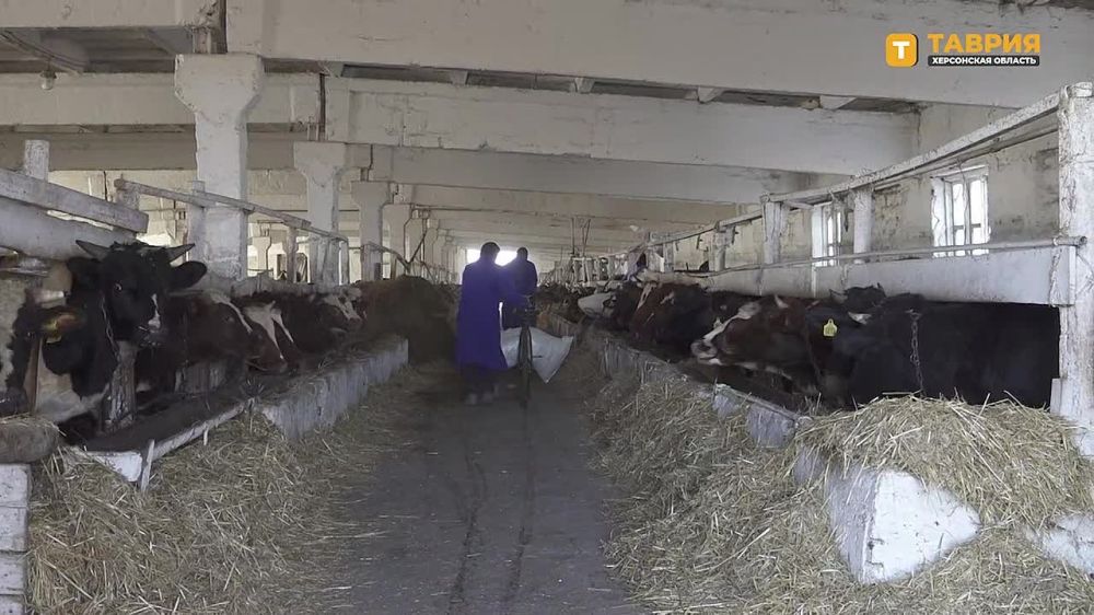 �����������-���������� ��������� � ���� ��������� ��������� ������ �� ��������� ��������