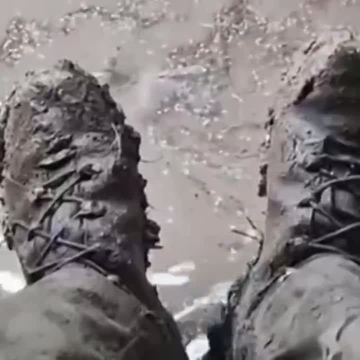 ������ ������� ����� ������� ���