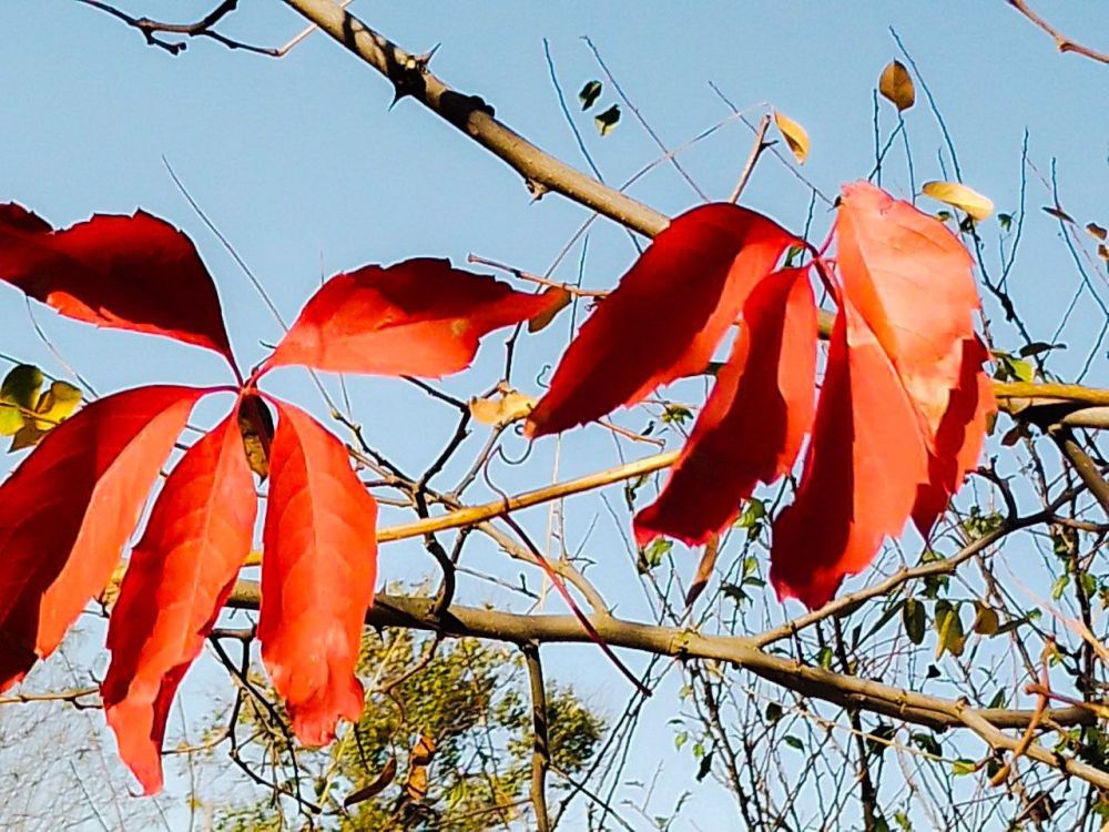 ���������� ����� � ����������� ��. ��������� ������������ ����� ������� ����� ������ ��������� �������! ������ ������ ����� �������� �������� ����, �������� ��� ������ ����