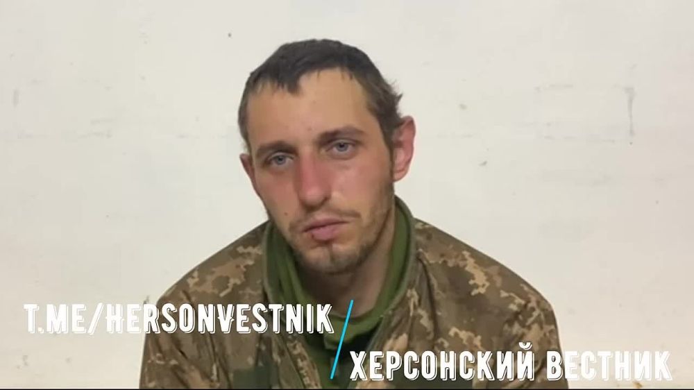 #���������. �����������: ��������� ������� � ������� ������, ������� �������� �����! - ��������� ������� ��������, �������� ��������, 36 �������, 2 ��������, ����� ����;