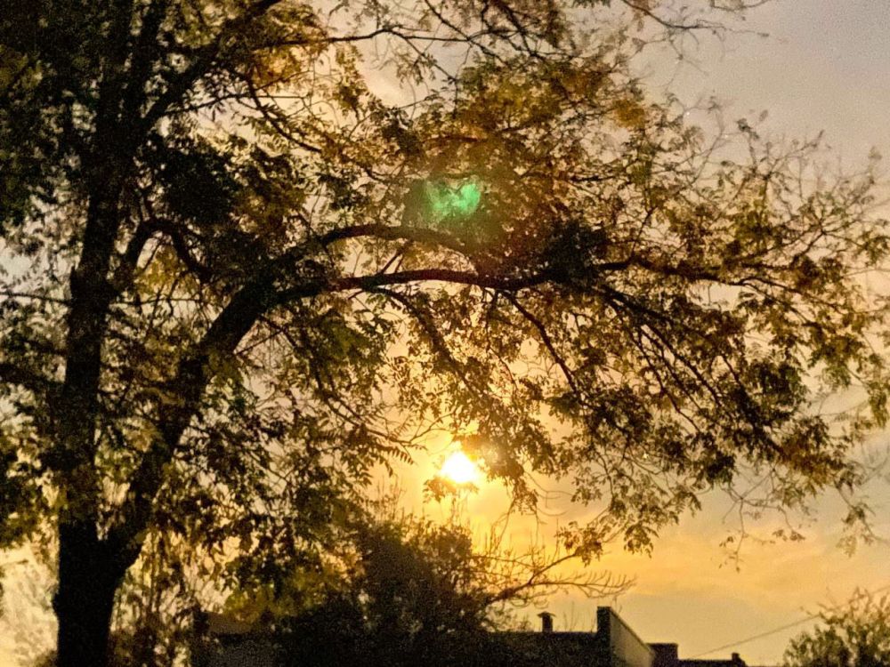 ������������� ������ � ��� ��������� ����� ����� ������ � ����