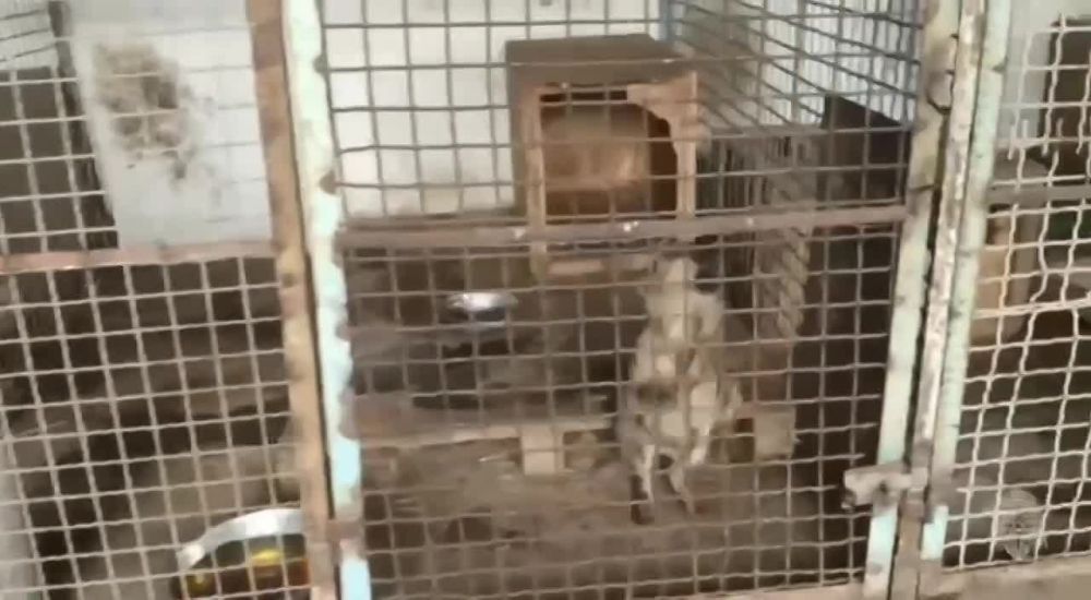 � ������� �� ��� ������ ��� ����������� ����� ���������