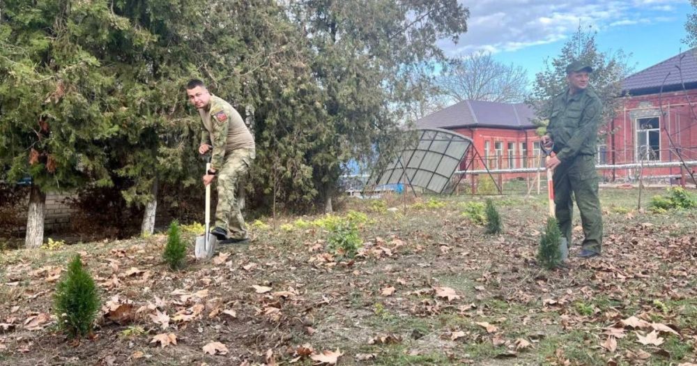 ���������� ����������� �������� ������� �� ���������� ���������� ��������