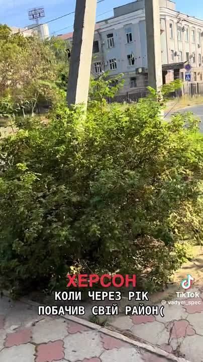 ��������� �������: � �������, �������� �������������� ���������� ������, ��������� ������������ ���������� - ���, ��� ����, �������� �����, ������� ������� �� �� ���������� ������� ����� ����������