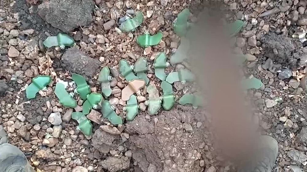 Видеоролики «Черной книги» показали на круглом столе РИА Новости в Москве