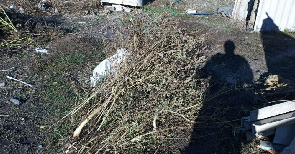 ����������� �� ����������� ������ ������� ����� 180 ������ �������