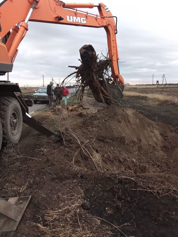 �� ���������� ������� �������� - �������� - �������� ���������� ������ �� ���������� ���� �� ��������