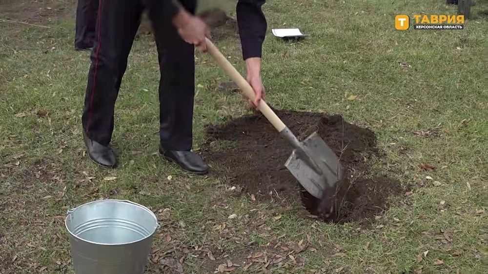 � ��������� ���������� ������� �������� ����� �� ��� �����