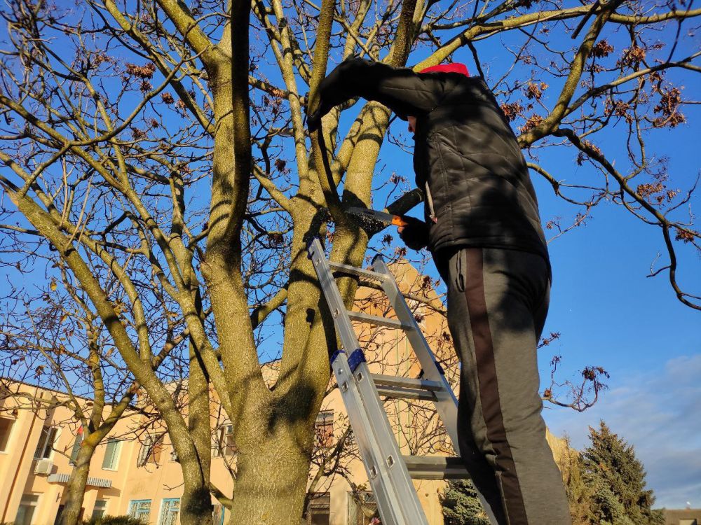 ������� ������� ������ ����������� ���������� ������