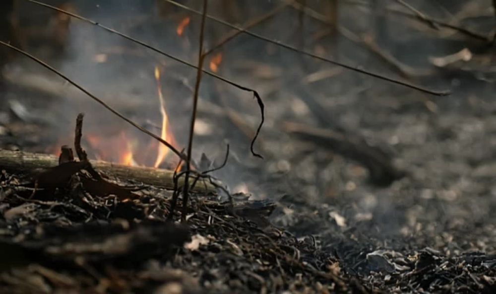 ���� �� �������: ������! �� �������� ������! ������� � ��� ����� ����� ������������ ������� �� ��������� �������� ������