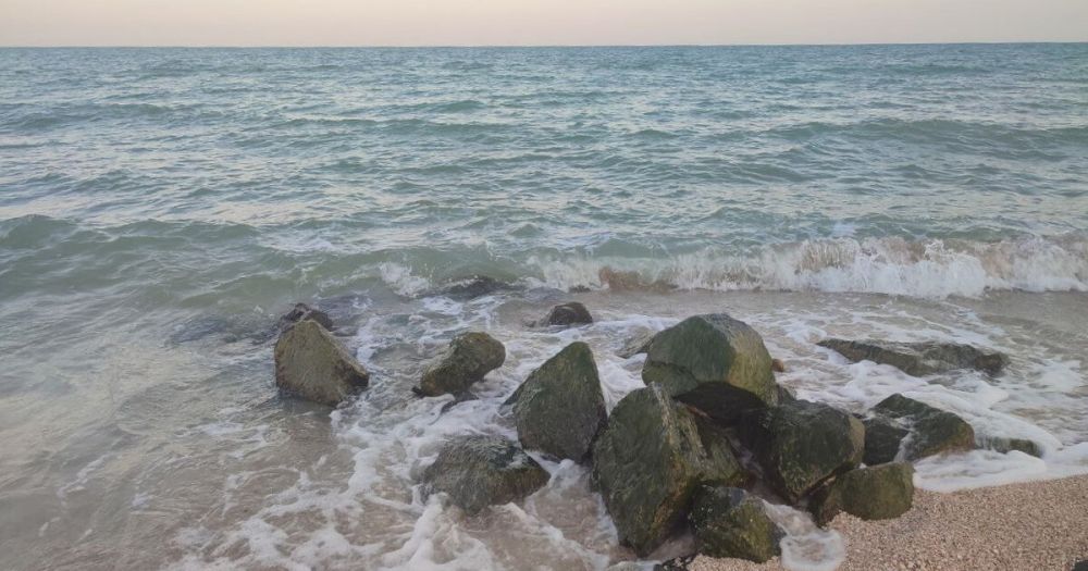 ������� ����� ������������ � ���������� ������� �� ��������