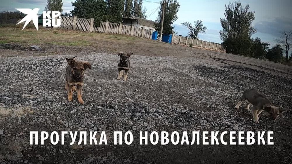 ��� ��������� ������ ���������������� � �������� ������