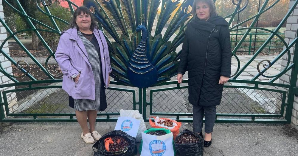 ���������� ��������� ������� �������� ��� ���������� ����������� ��������-����