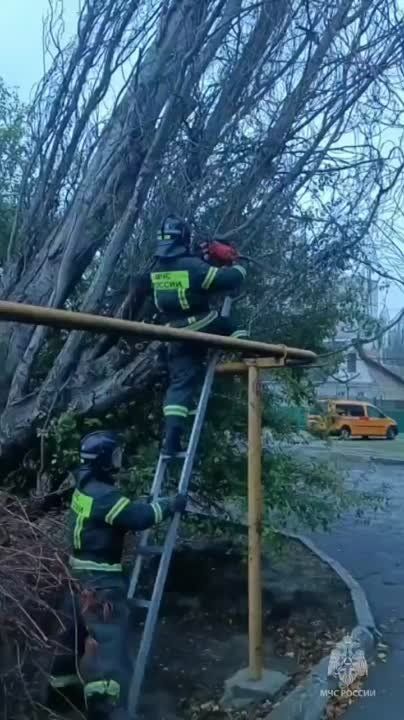 ���������� ��������� ��������� ����������� ��������