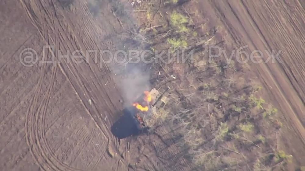 ����������� ����� "�����", ���������� �����������