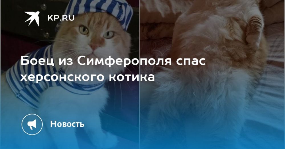 ������� ����������: ������� �� ������ �� ���������� �������������� ���������