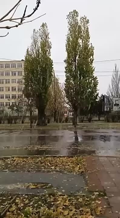 ������ ���� ����� �������� � ���������� �������