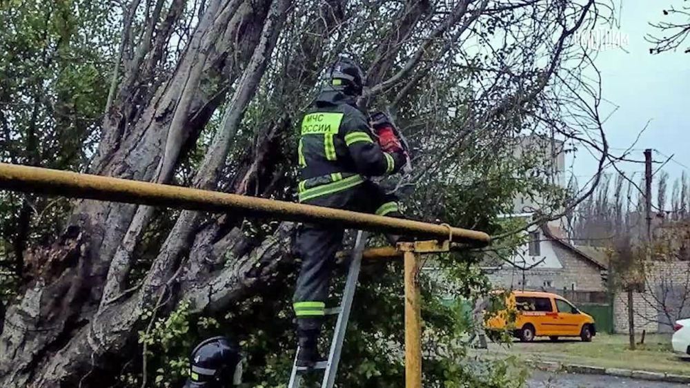 ���������� ��� ������ ��������� ����������� �������� � ���������� �������