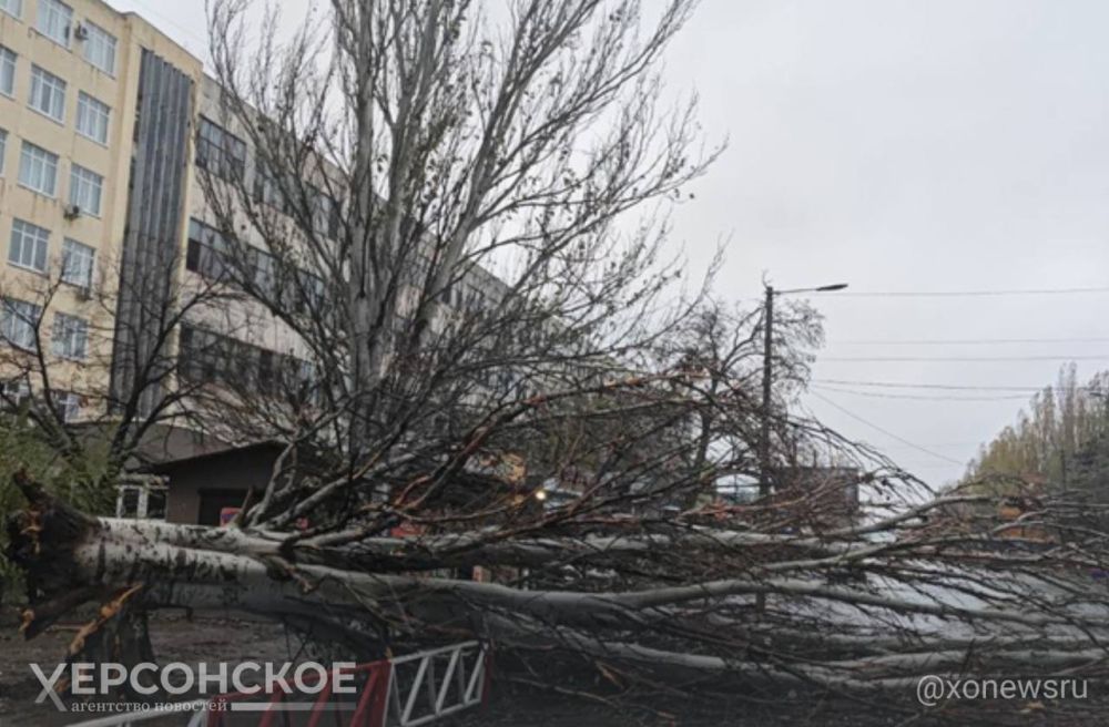 ����� 10 ����� ������� ���������� ������� �������� ��� ����� ��-�� ��������