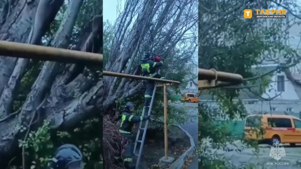 ����� ���������� ����������� �������� � ���������� �������