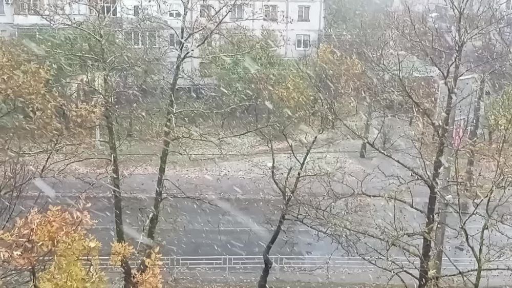 � ������� ������ ����