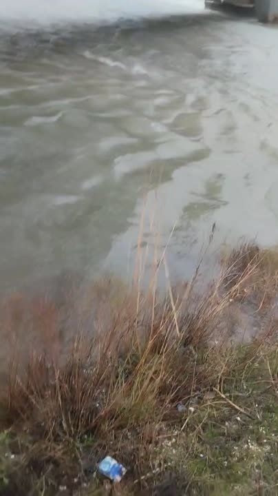 � ��������� �� ����� ������ ����� ����������� �� ������ ��������������� ������ ����� ������ ����� ��������� � ���������� ��������