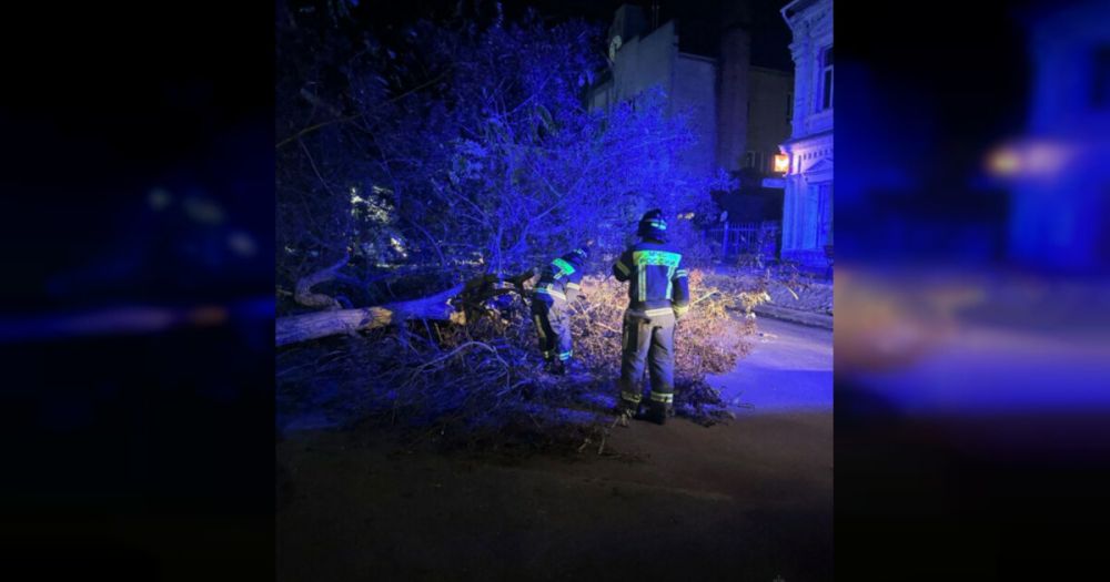 ���������� ��������� �������� ��� ������ �� �����