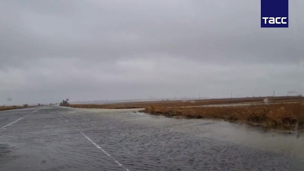 ������� ������ ����� ���������� � ���������� �������� � ���������� ������� ��������� ��-�� ��������� �������, �������� ���������, �������� � ����� Telegram-������ ������������� �������������� ������