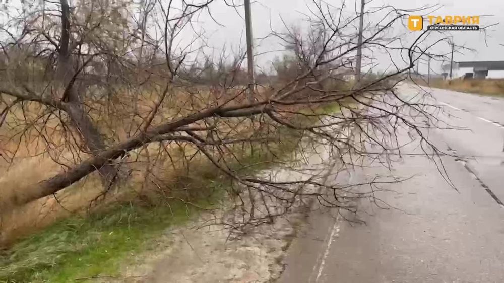 ����� �� 30 �/� ��������� �� ���������� �������