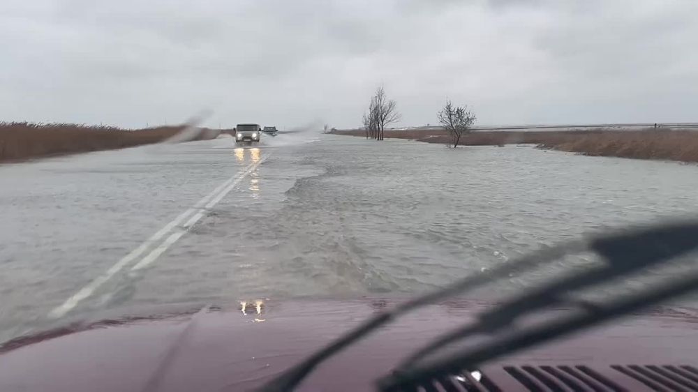 �������� ���������:. ��������� ������ �� ��������!