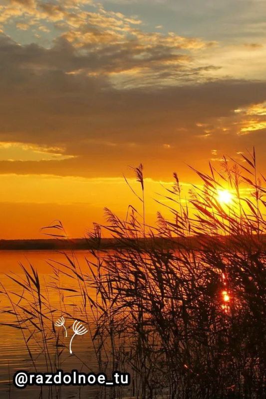 ������, ����! ����������!. ������ �������, ��������, ������ � ������